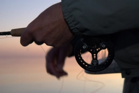 Retrieving the line Retrieving the line