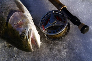 Winter rainbow Winter rainbow