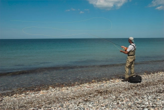 From dry land From dry land