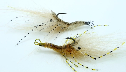 USD Shrimps USD Shrimps