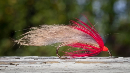 Natural and red hackle Natural and red hackle