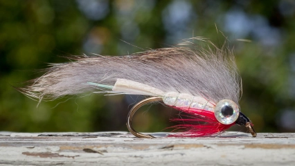 Natural and red throat Natural and red throat