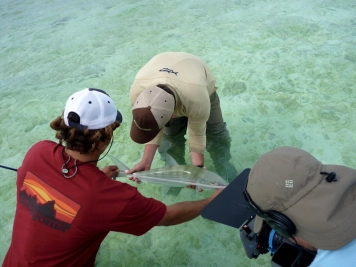 Behind the scenes Behind the scenes