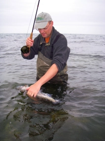 Yet another one Yet another one