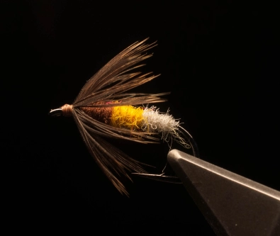 Is it a bee? Not really Is it a bee? Not really