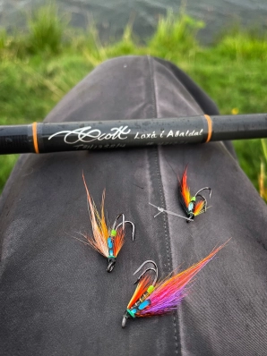 Small flies Small flies