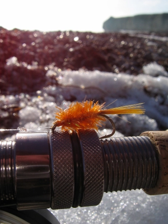 Glitter Shrimp Glitter Shrimp