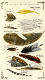 Plate of feathers Plate of feathers