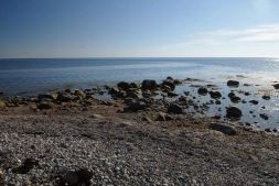 Reef, current Reef, current