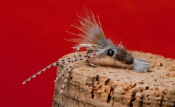 Wit rubber legs Wit rubber legs