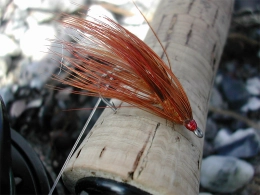 In the wild In the wild