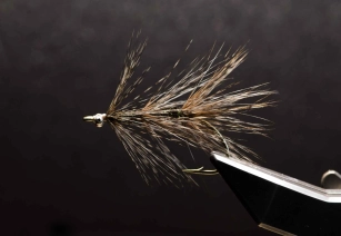 The finished Pavo Real The finished Pavo Real