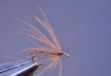 Step 8 - CDC hackle done Step 8 - CDC hackle done