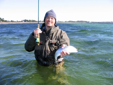 Another one Another one