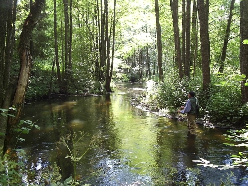 The breathtaking Ula River The breathtaking Ula River