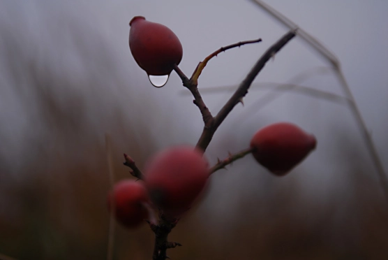 Severely struck - image Severely struck - image