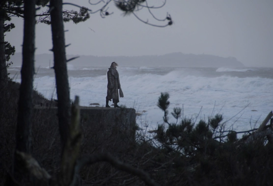 Yes, we have wind too! - image Yes, we have wind too! - image