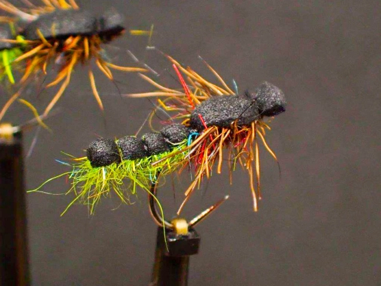 Swimming Caddis Pupa Swimming Caddis Pupa