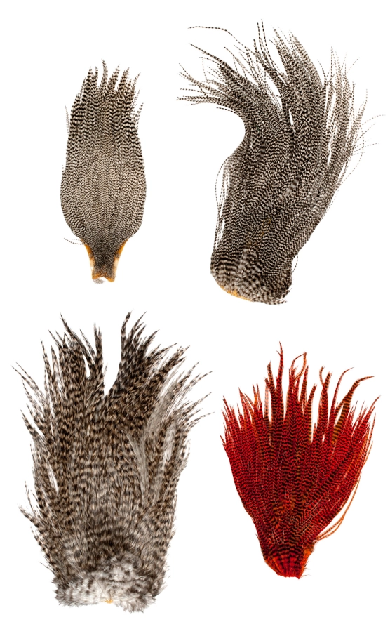 Saddles compared Saddles compared