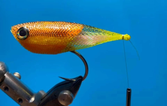 Starting tail Starting tail