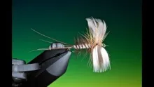 Video thumb for Spent Mayfly