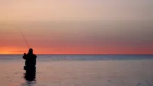 Video thumb for Nice sea trout fishing
