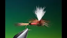 Video thumb for Parachute Royal Wulff