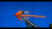 Video thumb for Ally's Shrimp