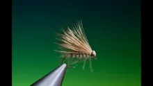 Video thumb for PDQ Caddis