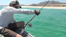 Video thumb for The Baja Project