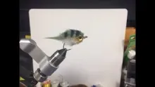 Video thumb for EP Style Bluegill