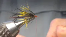 Video thumb for Leggy Sheelin May