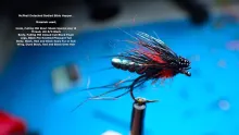 Video thumb for Detached Bodied Bibio Hopper