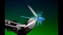 Video thumb for Braided Blue Damsel