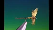 Video thumb for Yellow May