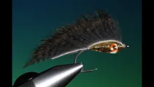 Video thumb for UV Zonker