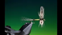 Video thumb for Spent Green Drake