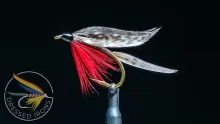 Video thumb for Tying the Light Blow Wet Fly- Dressed Irons