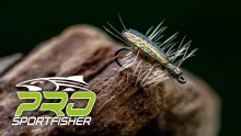 Video thumb for Adult Yellow Sally Stonefly