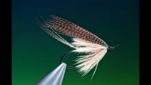 Video thumb for Mayfly Wet