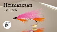 Video thumb for Heimasætan