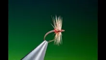 Video thumb for Pay Day Midge