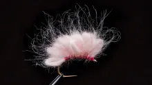 Video thumb for The Fly that killed Fly Fishing?