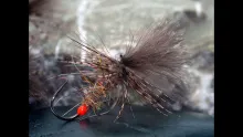 Video thumb for Grunter