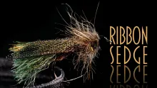 Video thumb for Ribbon Sedge