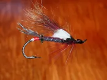 User submitted picture: Spruce Fox-Tied with spru...