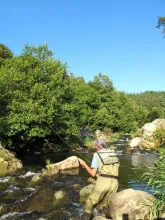 User submitted picture: Fishing montain stream by...