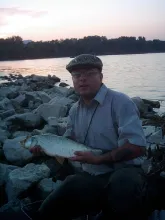 User submitted picture: Pure english....with a ni...