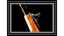 User submitted picture: FOAM ATTRACTORS DRYFLY...