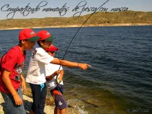 User submitted picture: Sharing moments with fly ...